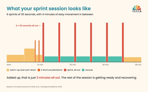 What your sprint session looks like