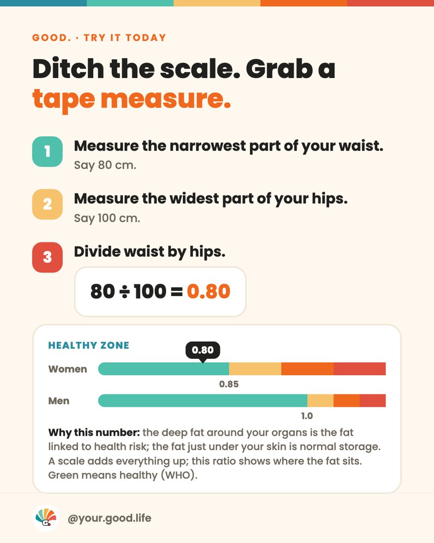 The waist-to-hip ratio in 3 steps, with the colour gauge