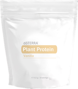 Plant Protein
