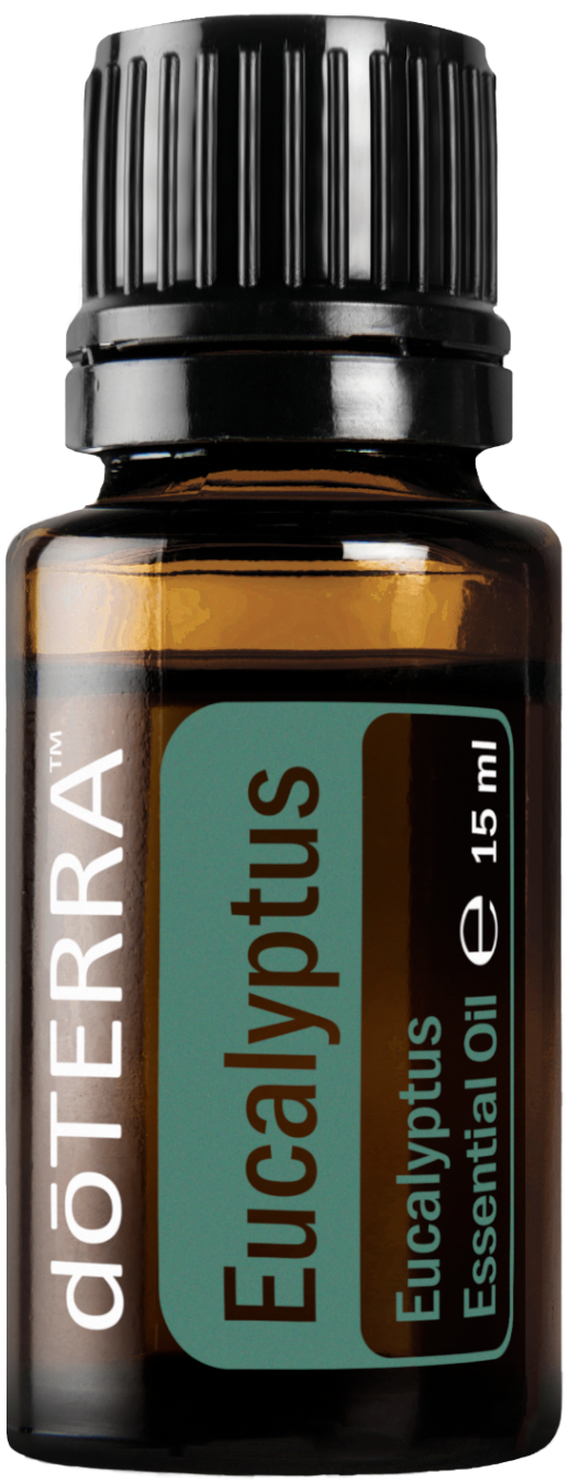 Eucalyptus